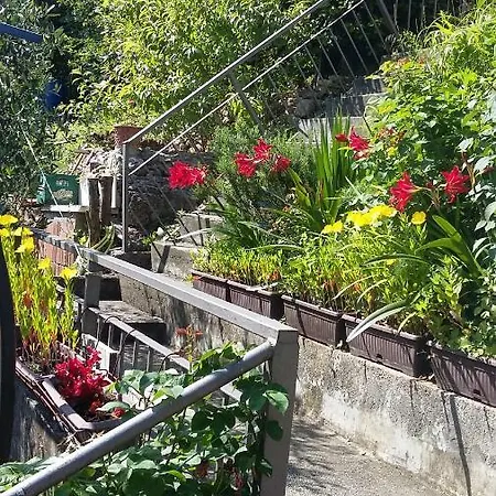克里沃卡皮奇公寓及客房旅馆 科托尔 外观 照片