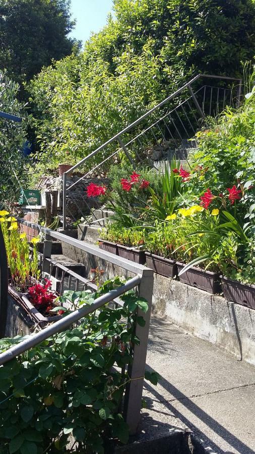 公寓 克里沃卡皮奇公寓及客房旅馆